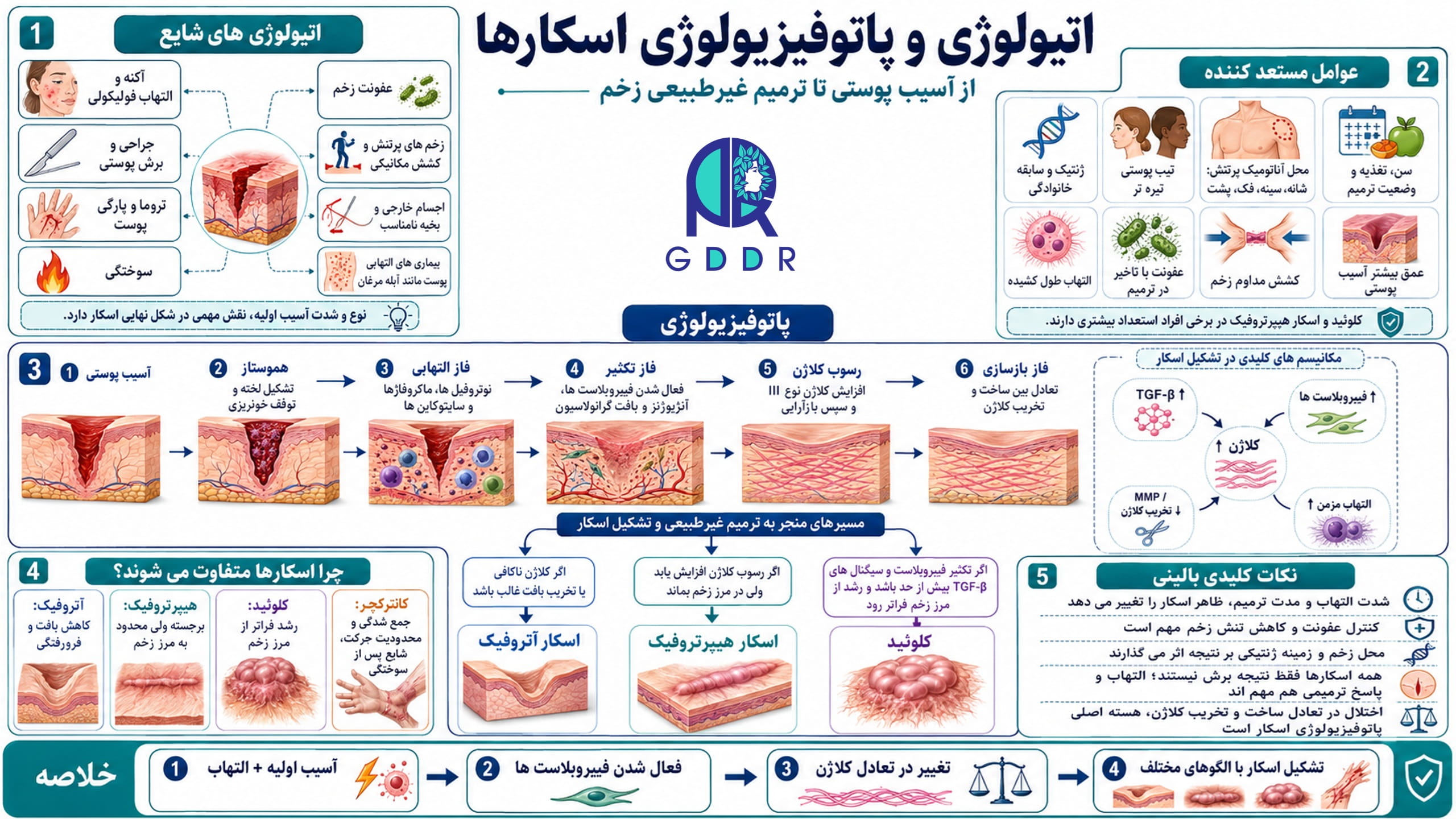 اتیولوژی و پاتوفیزیولوژی اسکارها بصورت اینفوگرافیک و جامع در یک جا