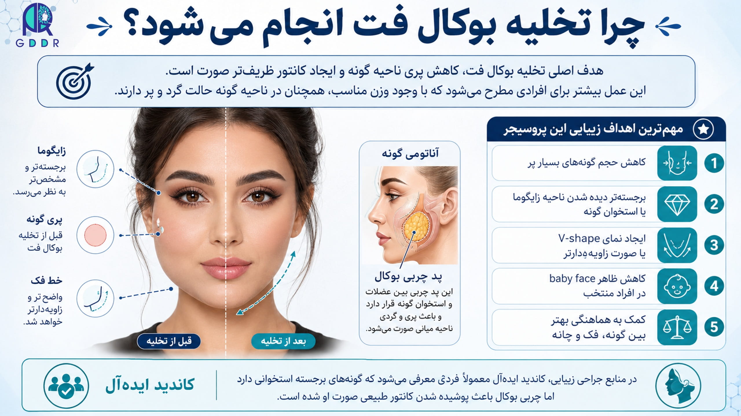 تصویری اینفوگرافیک از مواردی که تخلیه بوکال فت میتواند در زیبایی انها آن موثر باشد
