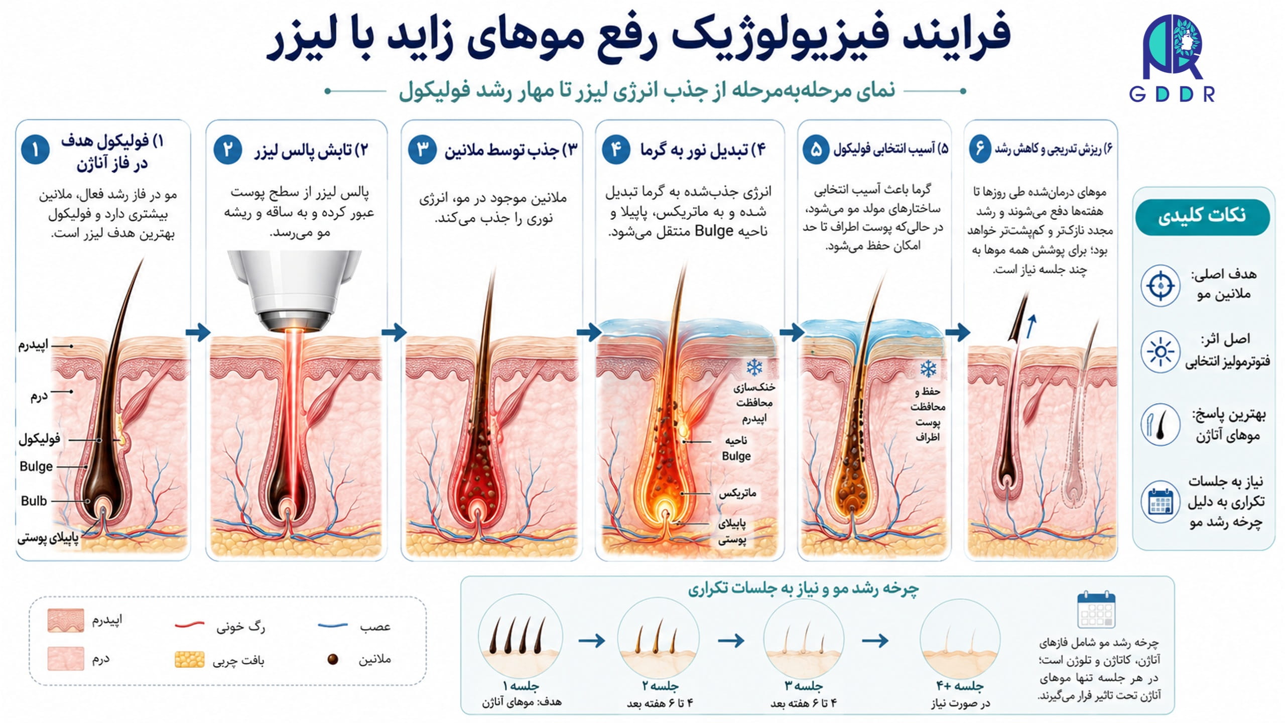 بررسی فرایند فیزیولوژیک رفع موهای زاید بصورت مرحله به مرحله
