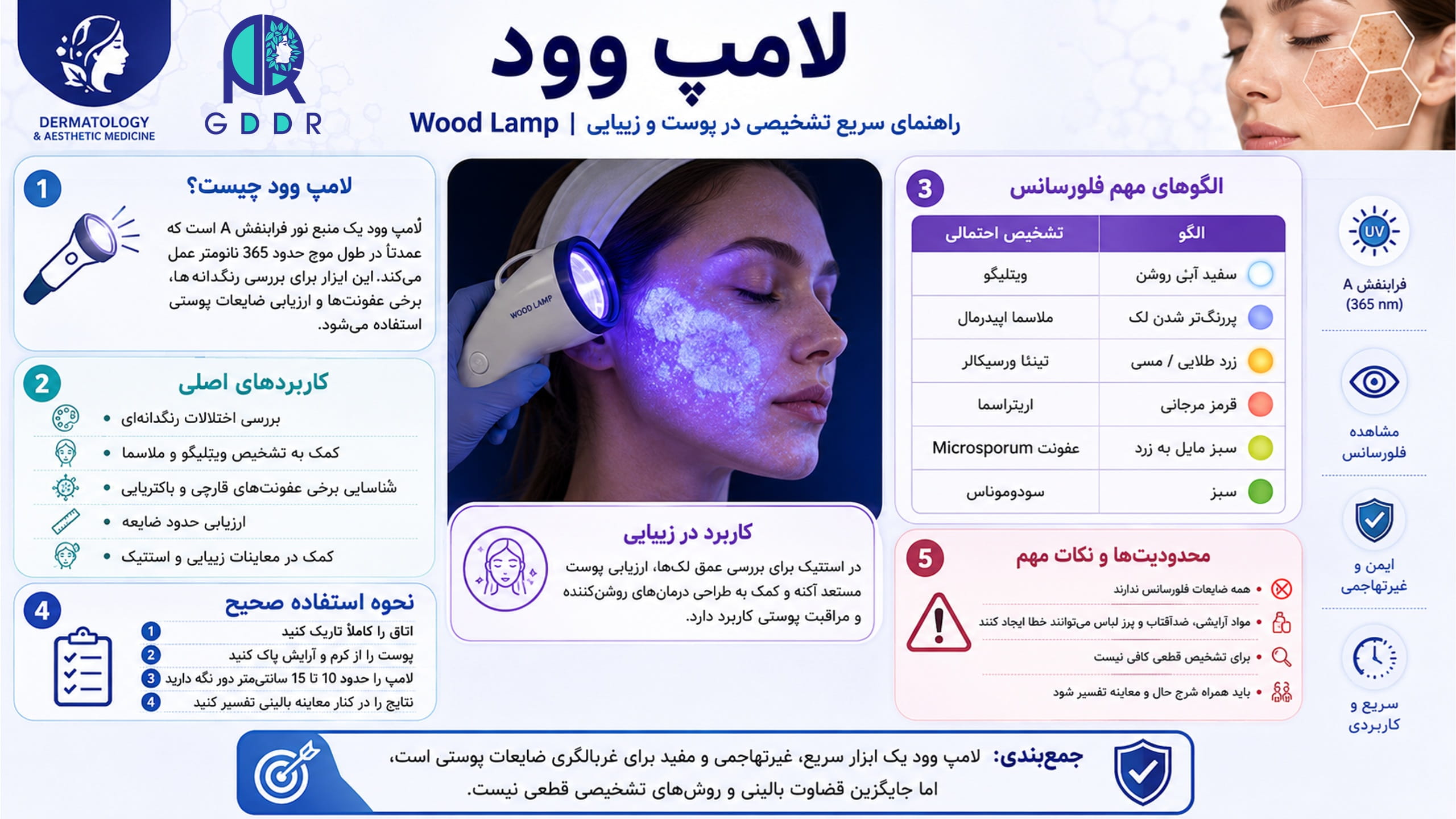 تصویری اینفوگرافیک از انچه بصورت کوتاه باید درمورد لامپ وود بدانیم