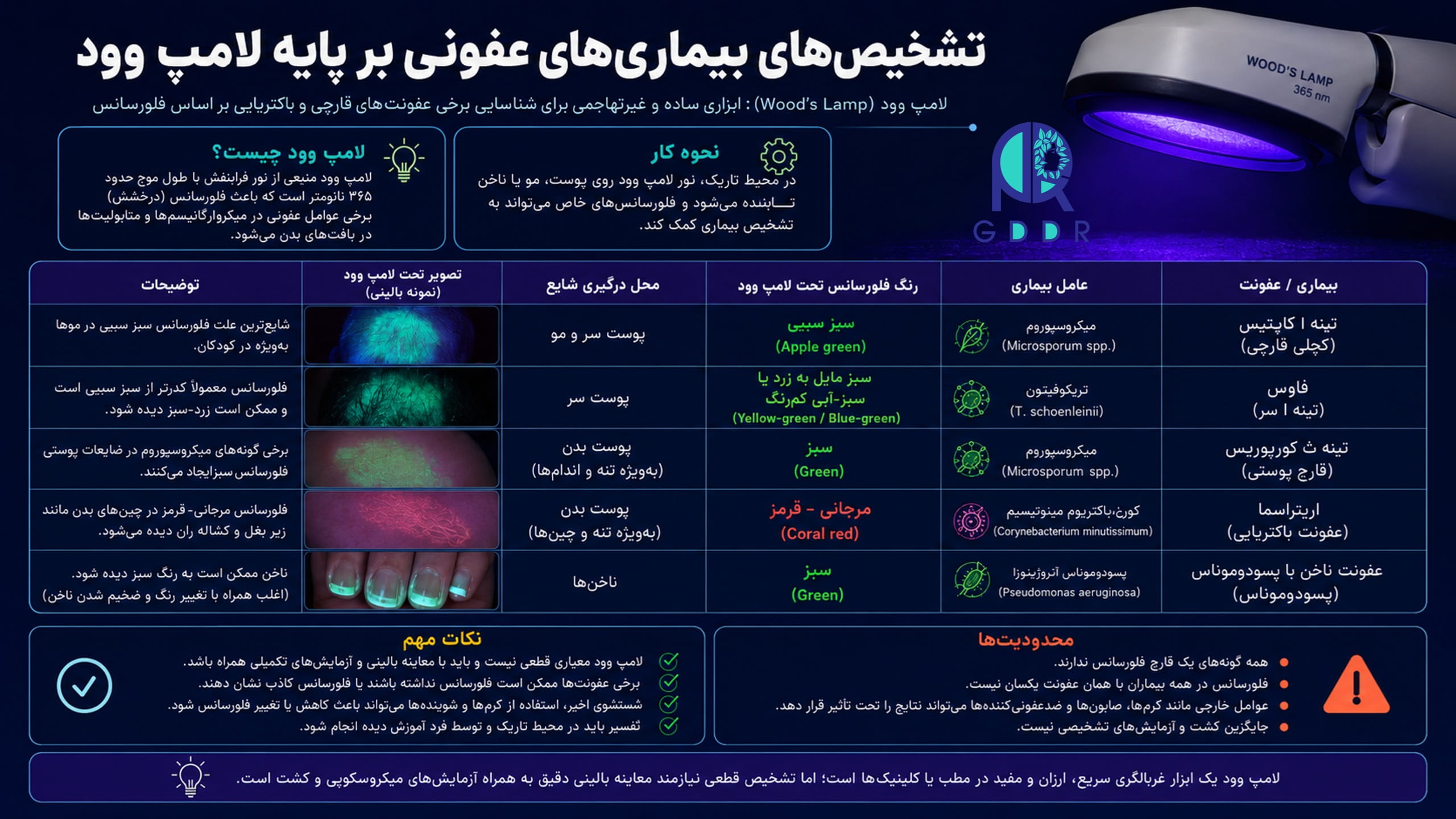 کاربردهای تشخیصی لامپ وود، در برخورد با بیماریهای عفونی در یک تصویر جامع اینفوگرافیک