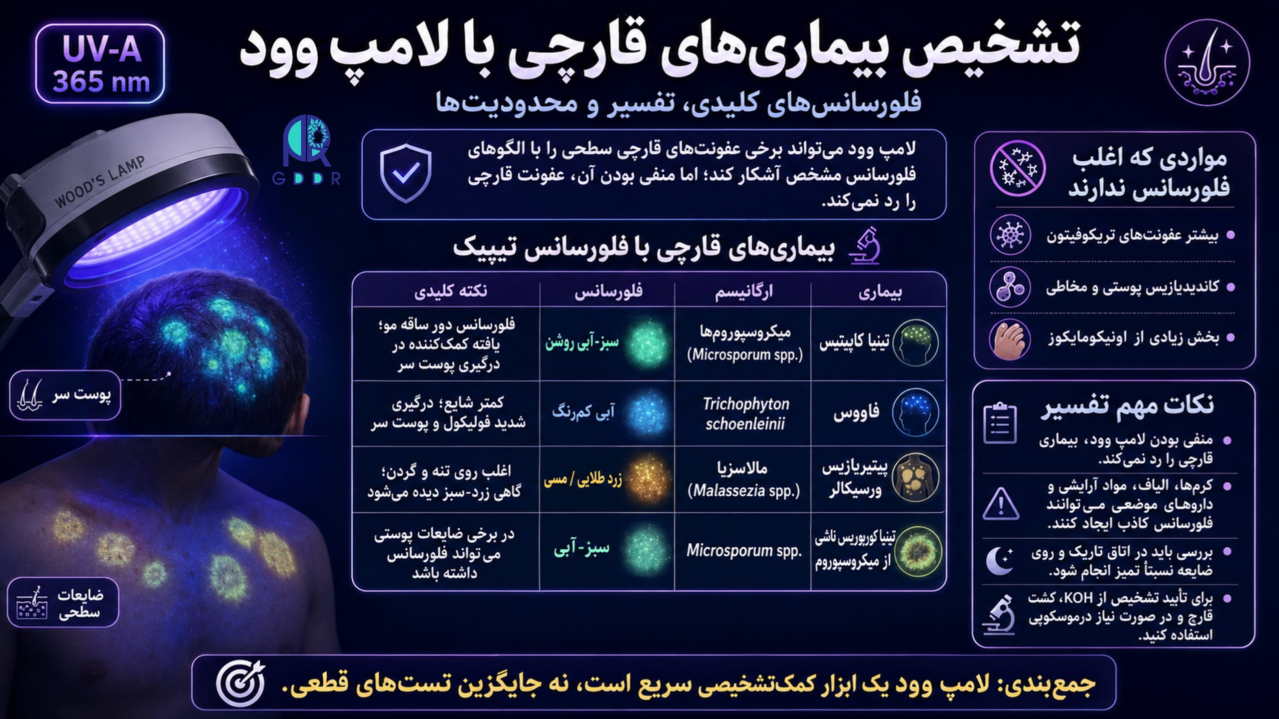 کاربردهای تشخیصی لامپ وود، در برخورد با بیماریهای قارچی در یک تصویر جامع اینفوگرافیک