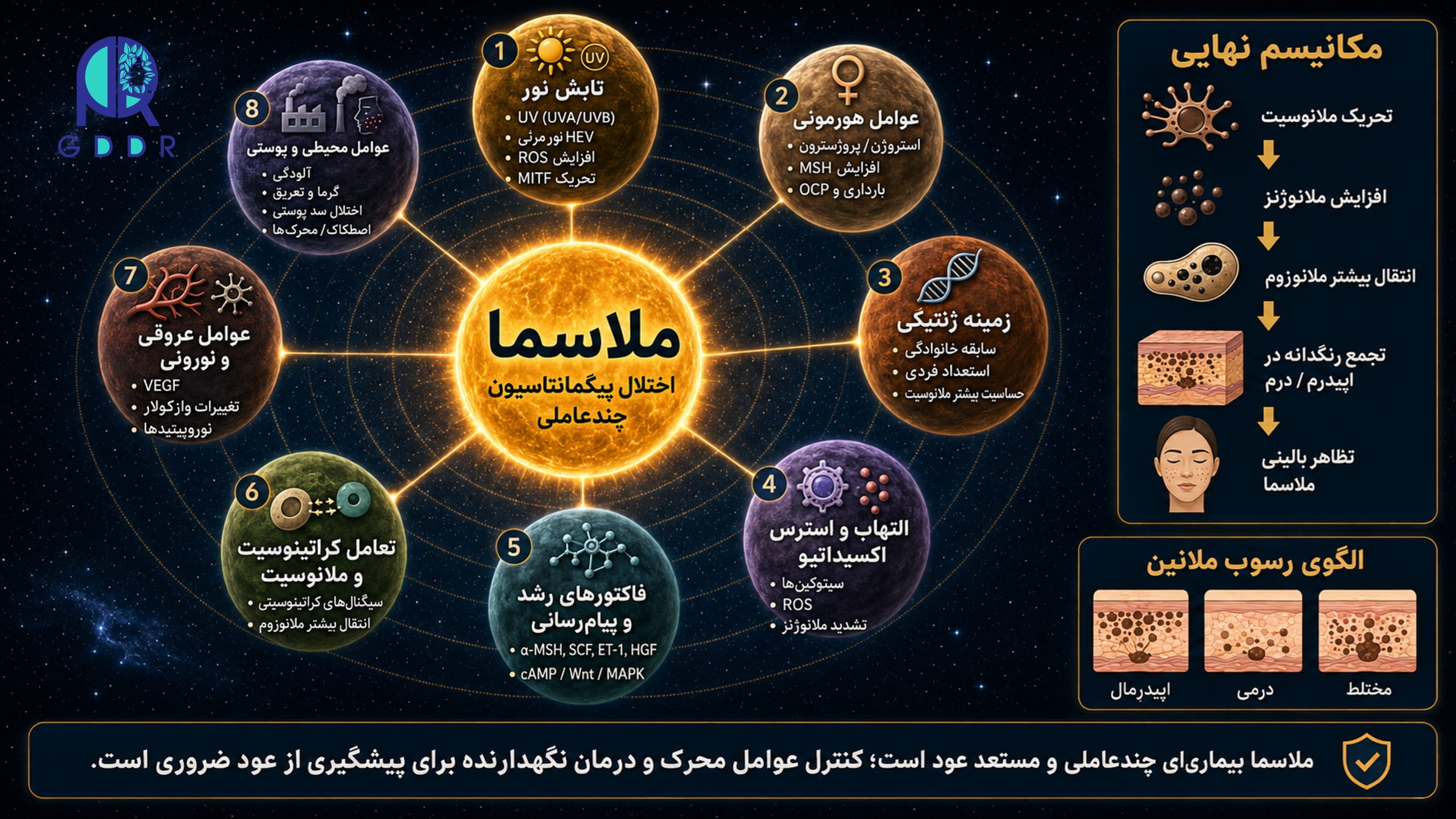 پاتوفیزیولوژی ملاسما و موارد مهم موجود در آن، بصورت اینفوگرافیک