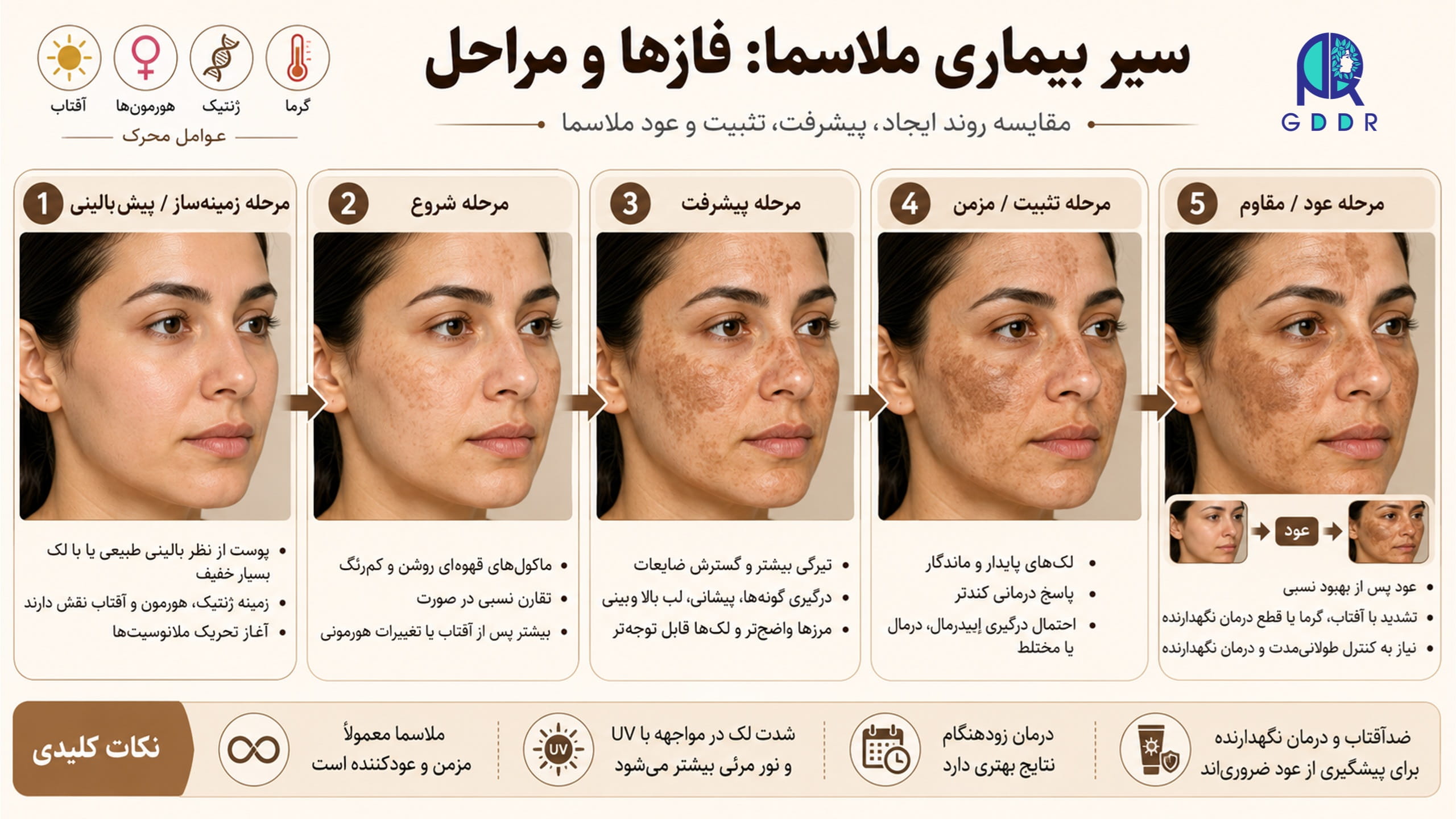 فازها و مراحل سیر بیماری در ملاسما، بصورت یک تصویر اینفوگرافیک